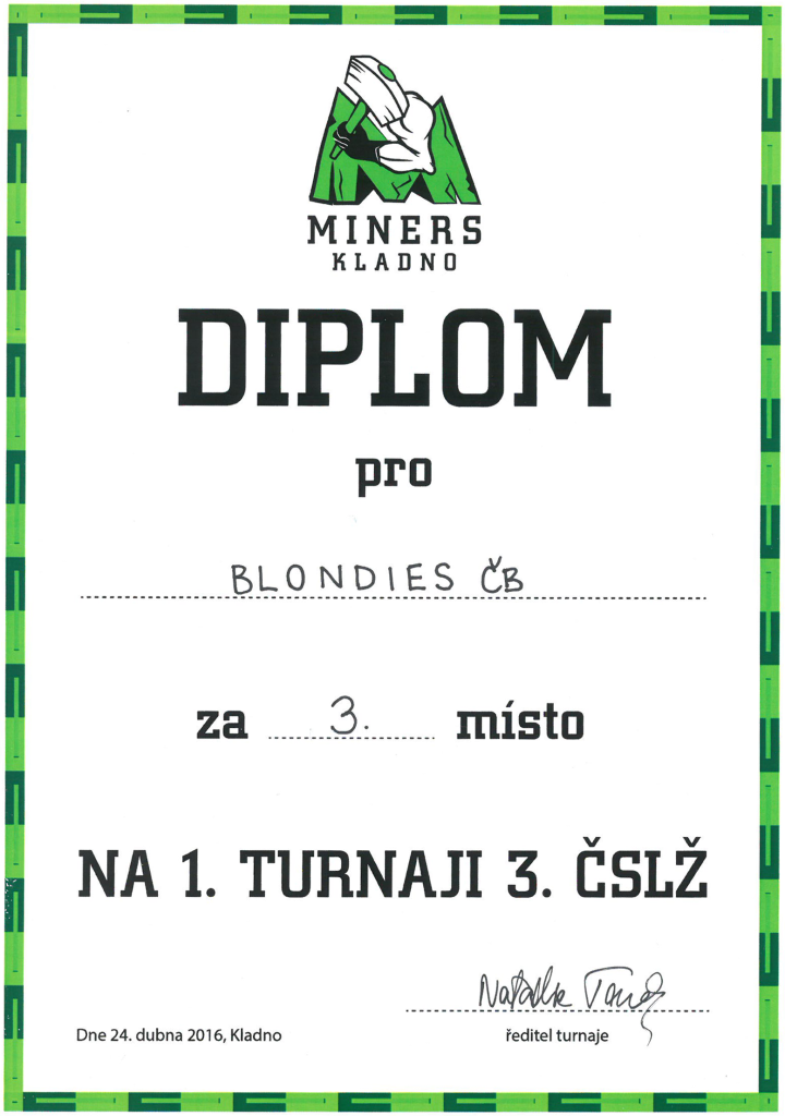 Diplom_1_2016